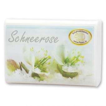 morepic-3