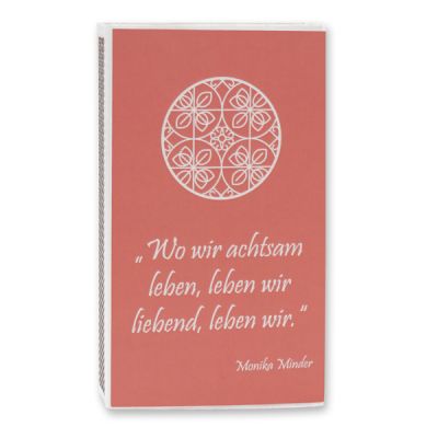 Zündhölzer groß, "Motiv Reinigung" 