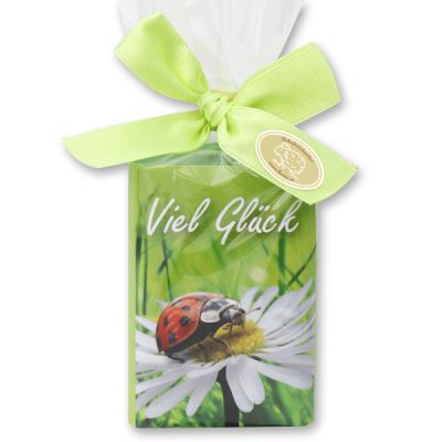 Schafmilchseife eckig 100g in Cello "Viel Glück", Apfel 